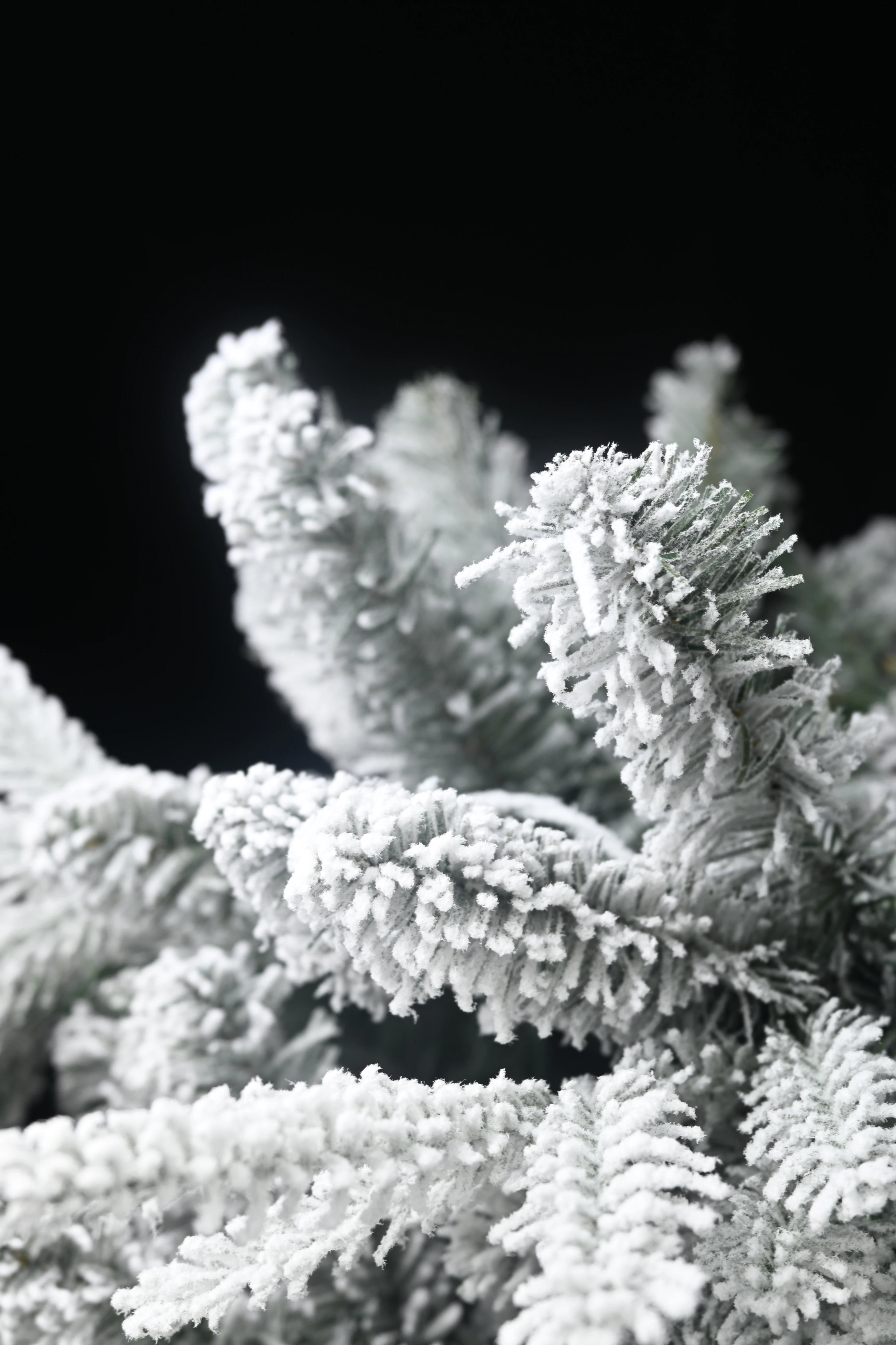 Vianočný stromček – snehom pokrytý