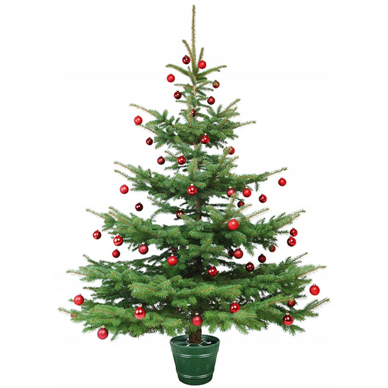 Stojan na vianočný stromček – hnedý